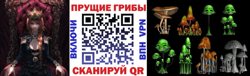 Купить  Полярный  Псилоцибиновые грибы Cubensis 